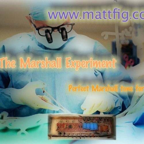 The Marshall Experiment www.mattfig.com