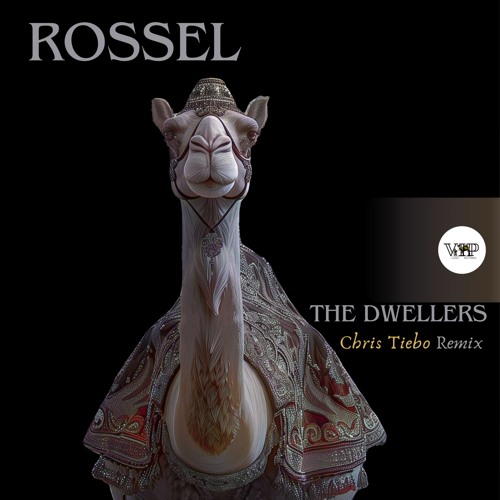 PREMIERE: Rossel - The Dwellers (Chris Tiebo Remix) [Camel VIP Records]