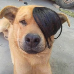 PA PA x GNOR REMIX  NHẠC NHẢY HUÝT SÁO  HOT TIKTOK