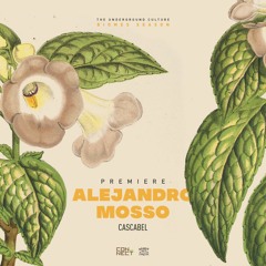 PREMIERE: Alejandro Mosso - Cascabel [Do Not Sit On The Furniture]