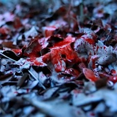 JOELY - BLOOD ON THE LEAVES (DUB)(CLIP)