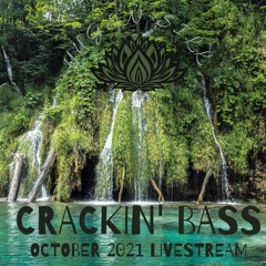 Crackin' Bass - October 2021 D&B Livestream