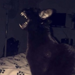 Ronnie - HELLnCHOLY