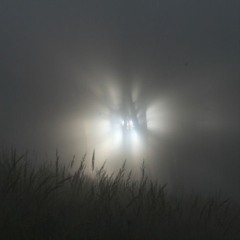 Untitled playlist