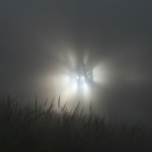 Untitled playlist