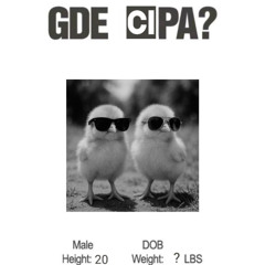GDE CIPA?