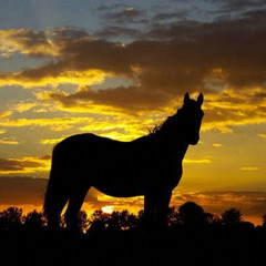 “CONQUERING THE WORLD ON HORSEBACK” (doing ketamine in your bedroom)