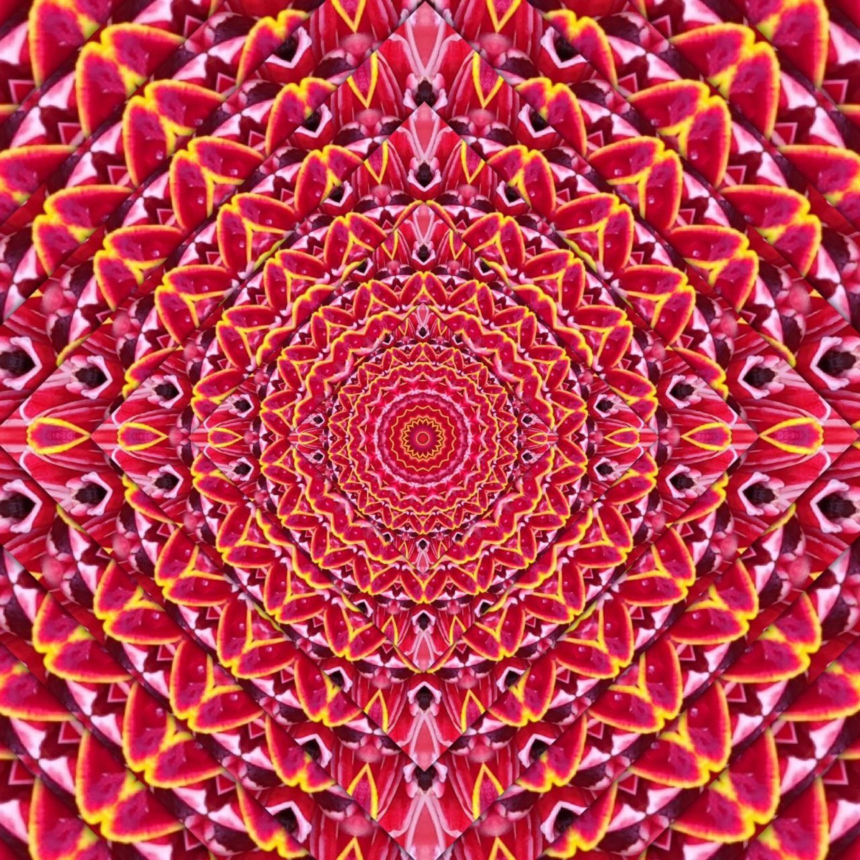 Dimensional Shift