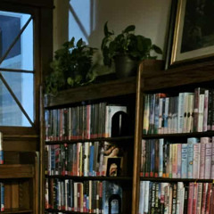 I like your plants...that's a lot of money