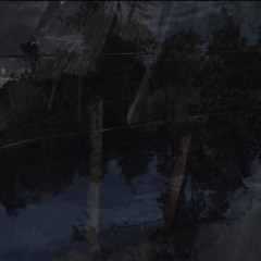 thylacine stripes - swansong