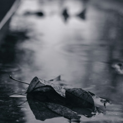 Fallen Soldier - 165 Bpm