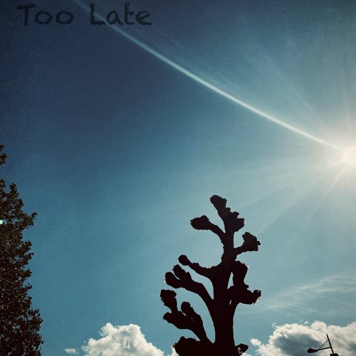 Too Late