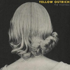 MARY-Yellow Osterich (Calibrium Remix) 2015