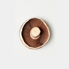 Thomazi And Anderson Downtempo Mix At Skau 19 December 2020.MP3