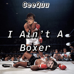 I Aint A Boxer