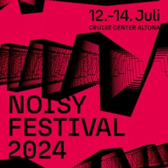 noisy Festival 2024
