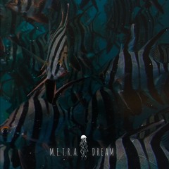 Dream (Extended Mix) [FAWNA]
