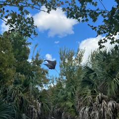 video game type beat