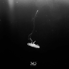 Phenomenology X Beolost - Your Essence