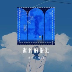 赵乃吉 - 迟到的抱歉「惭愧是我以为经过颠簸 才可把困惑化成澹漠，阑珊灯火夜长梦多，怪我把你错过」【動態歌詞/Lyrics Video】#赵乃吉 #迟到的抱歉 #動態歌詞