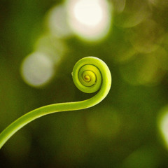 Jennifer McComas private bb meditation erasing self defeating belief