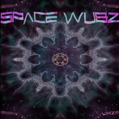 SPACE WUBZ