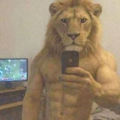 Mylancore Lakota биток скачать бесплатно без смс и регистрации