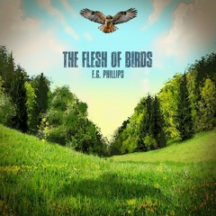 The Flesh Of Birds [Tricks of the Light EP]
