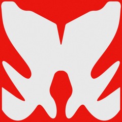 Premiere: VILLA — Finally Lost Vision [OKT007]