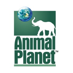 Classic TV Promo - Meerkat Manor Marathon