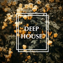 Deep house #14