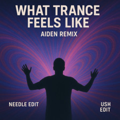 what trance feels like needle-ush eddit  (Aiden remix)