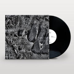 Coaxial System - Institut Night Edt. [Vinyl]