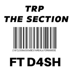 SECTION FT D4SH prod.ROKSTARR