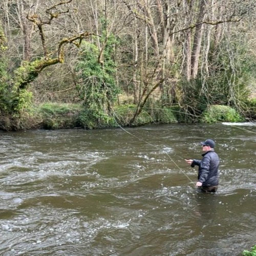 Stream episode La Mise À Jour Hebdo De La Pêche À La Ligne Irlandaise