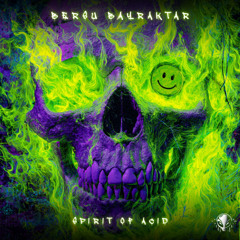 Bersu Bayraktar - Spirit Of Acid (Radio Mix)
