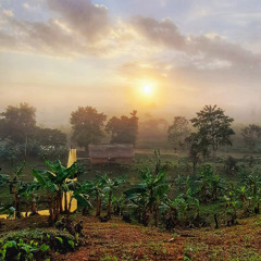 Ambareza - Yawanawá