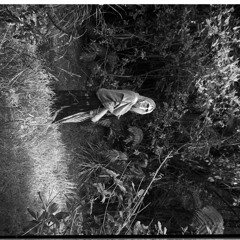 Sankirtana Sound trackkkks