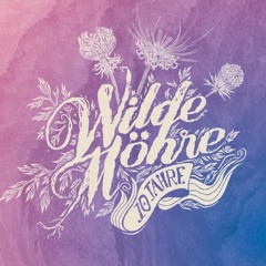 Multifuse @ Wilde Möhre Festival 2023