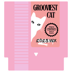 Grooviest Cat (2025 Mix) .AIFF