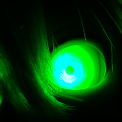 NIGHTCOREHIDDEN @ HKCR 4