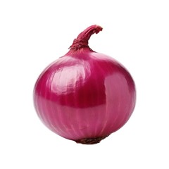joost - funny onion song (slowed + reverb)