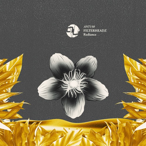 Filterheadz - Radiance