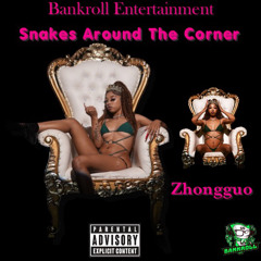 Snakes around the Corner