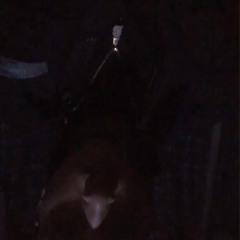 #stiil#possessed  [outside the club mix] PROD OOSKULLY 2/2