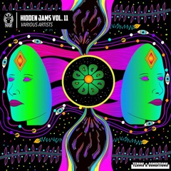 Various Artists  - Hidden Jams Vol. 11