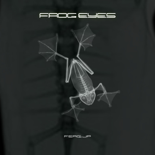 Frog Eyes (prod. by KillaHRTZ)