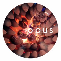 Opus Podcast 004 | Jnt (live recording)