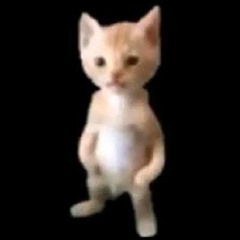 pogmusic