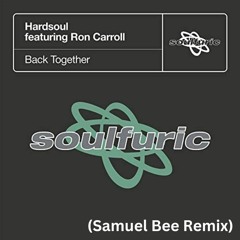 Hardsoul Feat Ron Carroll 'Back Together' (Samuel Bee Main Room Mix)